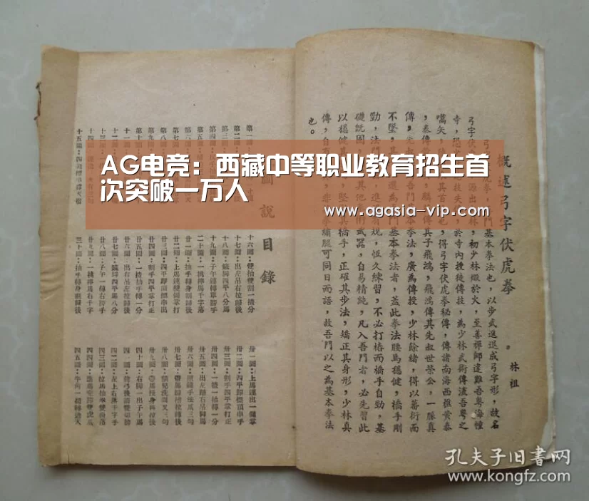 AG电竞：西藏中等职业教育招生首次突破一